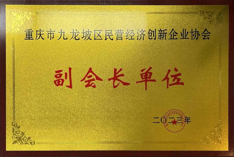 九龍坡區(qū)民營經(jīng)濟(jì)創(chuàng)新企業(yè)協(xié)會副會長單位